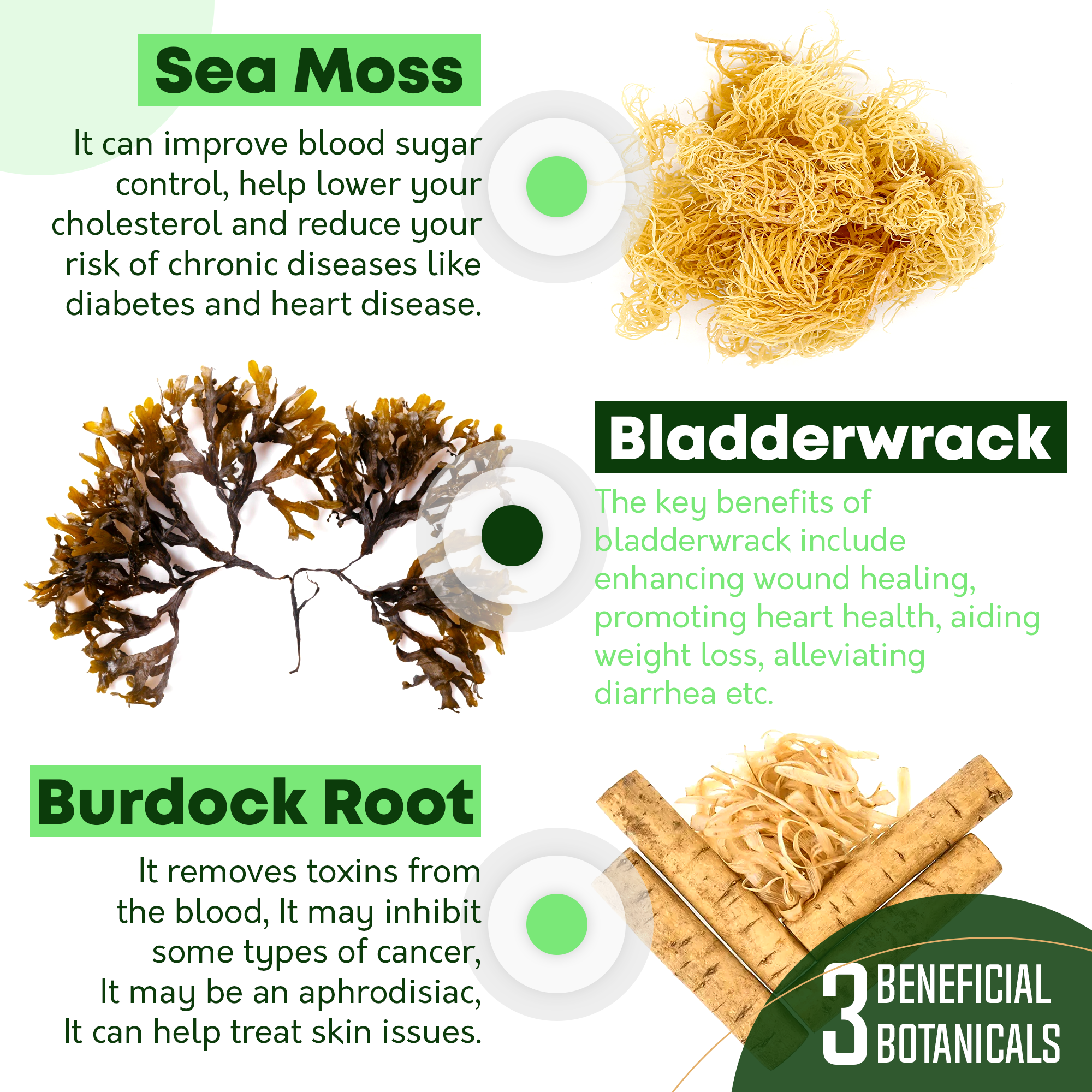 irish sea moss bladderwrack burdock root capsules